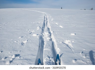 Cross Country Ski Track, First Person Perspective