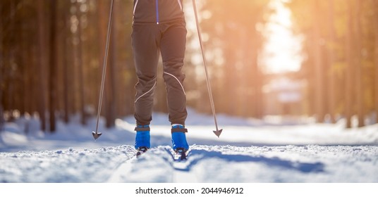 Cross country skiing Banner, winter sport on snowy track, sunset background.