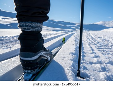 Cross Country Skiing Boot And Ski Gliding In A Slope Though The Mountains On A Sunny Day. Shallow Depth Of Field. Close Up.