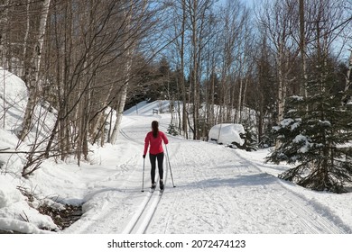 Cross Country Skiing Classic Style Nordic Skiing In Forest. Woman In Winter Doing Fun Winter Sport Activity In The Snow On Cross Country Ski In Beautiful Nature Landscape