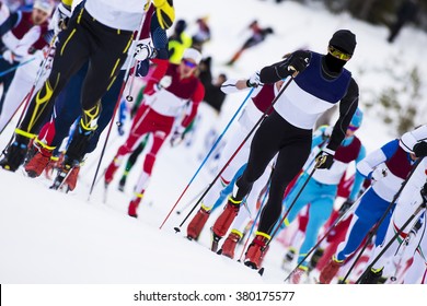 Cross Country Skiing Competition 