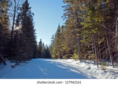 Cross Country Skiing. Free Style Track. Mont Saint-Anne, Quebec, Canada