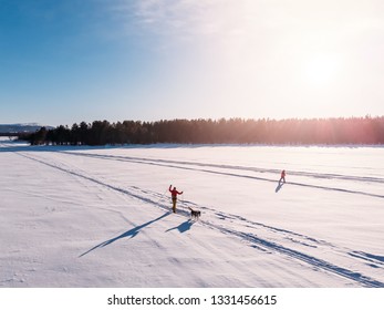 Cross Country Skiing On Track With Dog Malamute. Concept Winter Holiday. Aerial Top View.