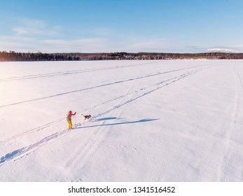 Cross Country Skiing On Track With Dog Malamute. Concept Winter Holiday. Aerial Top View.