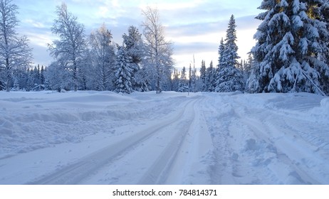 Cross Country Skiing In Jämtland, Sweden