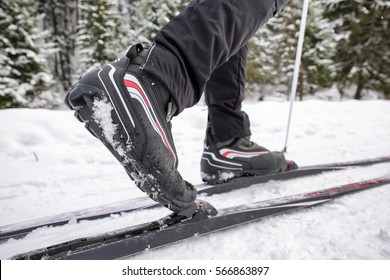 Cross Country Skiing In Winter Forest. Active People