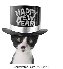 Cross Eyed Cat Wearing A Happy New Year Hat.