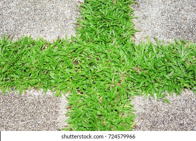 Cross Grass Pattern Background Stock Photo 724579966 | Shutterstock