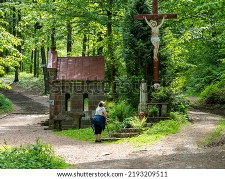 The cross of Jesus Christ, a wooden cross on a green background, Way of the Cross, Bardo, Lower Silesia, Poland