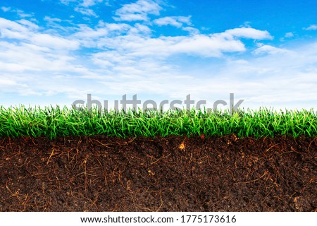 Cross section brown soil and green grass in underground with blue sky in background.