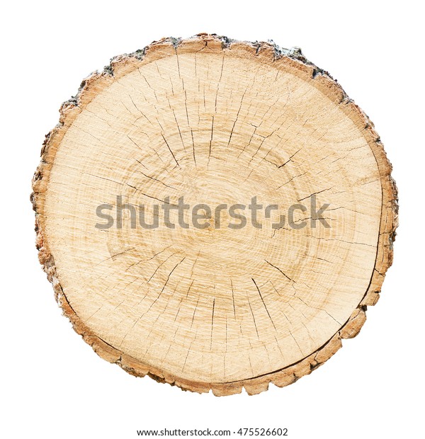 Cross Section Cut Wood Tree Trunk Stock Photo (Edit Now) 475526602