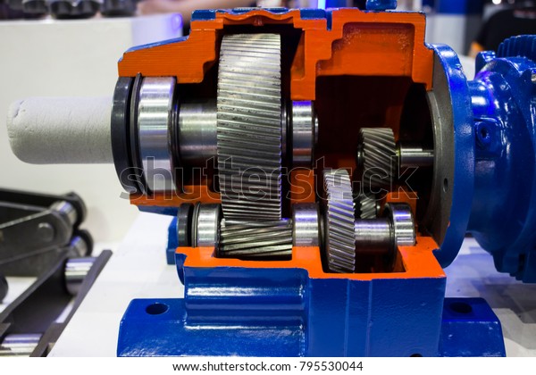 Cross Section of\
Gear pump showing\
components