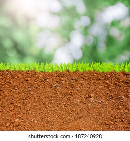 6,633 Grass cross section Images, Stock Photos & Vectors | Shutterstock