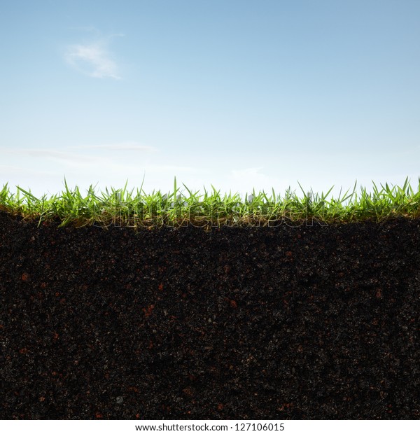 Cross Section Grass Soil Against Blue Stock Photo (Edit Now) 127106015