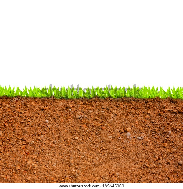 Cross Section Grass Soil Against White Stock Photo (Edit Now) 185645909