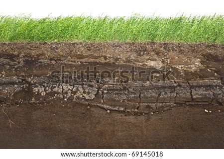 Cross section of green grass and underground soil layers beneath