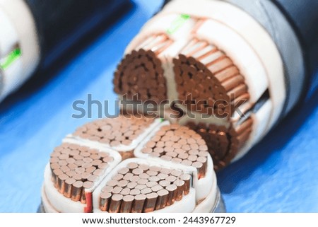 Cross section of high-voltage cable, polymer insulation. Close-up of some high voltage copper cable cross-section. Abstract focus industry concept background.