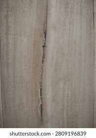 Cross section of old tree trunk showing soft pith in the center