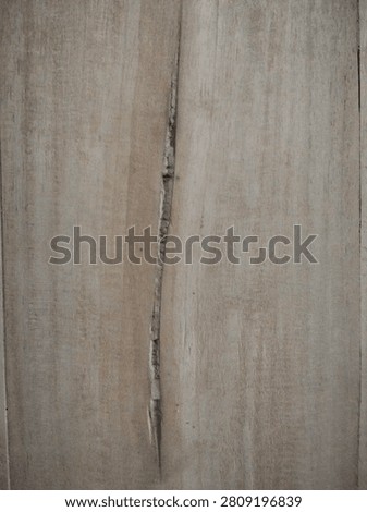 Cross section of old tree trunk showing soft pith in the center