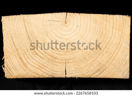 Cross section of a pine log with annual rings on a black background