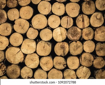 Cross section of pine logs ready for winter (or as a background)