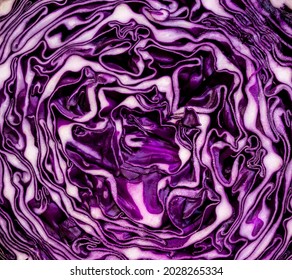 cross section of red cabbage