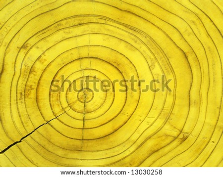 Similar – Image, Stock Photo wrinkles Colour photo