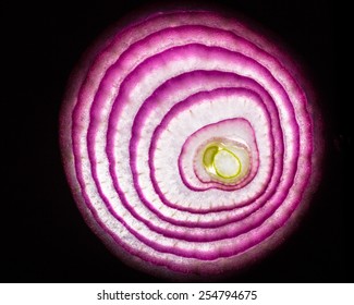 Cross Section Slice Of Red Onion Against Dark Background 