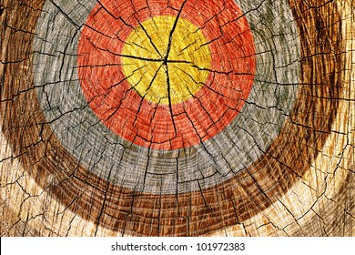 A cross section of a tree with grungy looking target painted on it.