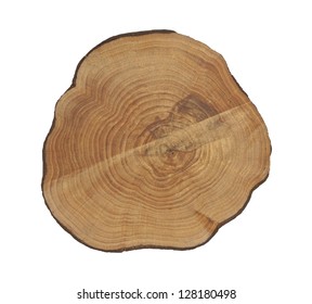 Cross section of tree stump isolated on white background