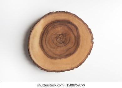 Cross Section Of Tree Stump On White Table Flat Lay Top View. Wooden Cut Section Image