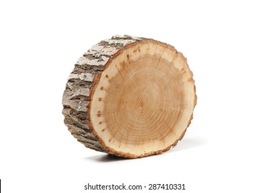 Cross section of tree trunk, isolated on white background