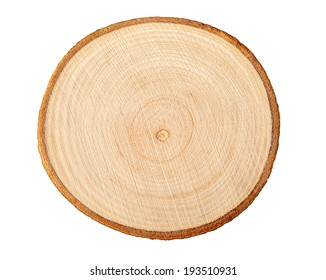 Cross section of tree trunk showing growth rings on white background