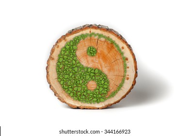 Cross section of tree trunk with Ying yang symbol of harmony and balance. Isolated on white background