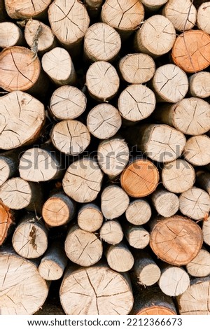 Cross section of tree trunks, timber background. Log trunks pile, the logging timber wood industry. Cutting tree trunks placed together for interior decorate. Decoration of cutting tree