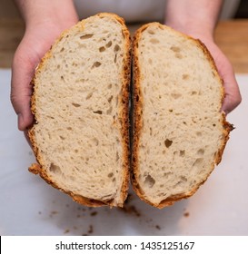 Cross section of white bread loaf