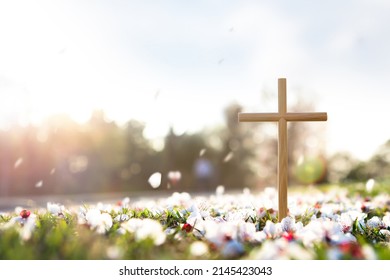 La cruz simboliza la muerte y la resurrección de Jesucristo, flores de primavera, pétalos en caída y luz solar brillante
