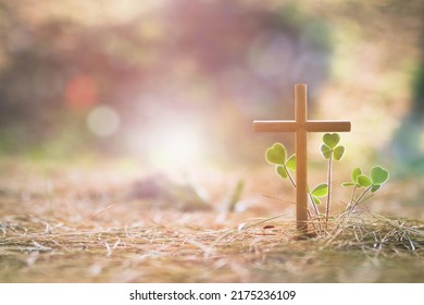 A cross symbolizing the death and resurrection of Jesus Christ, a heart-shaped leaf of grass and a beautiful bright background