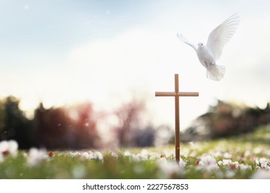 Cross symbolizing the death and resurrection of Jesus Christ, spring flowers, falling petals, bright sunlight, and doves
