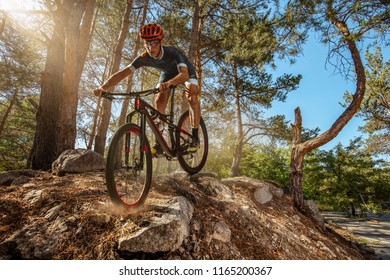 Cross-Country biker on forest trail. Male cyclist rides the rock