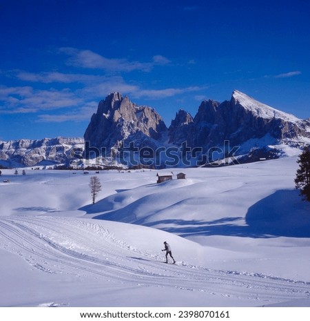 Cross-country ski trail on the Alpe di Siusi, above the Sella massif, Sassolungo, Fivefinger peak and the Sassopiatto South Tyrol, Dolomites, Italy