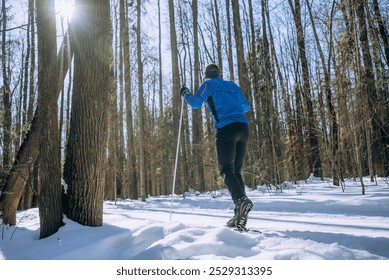 Cross-country skier in blue jacket gliding through snowy forest, winter sports in sunlit woods, active outdoor adventure  - Powered by Shutterstock