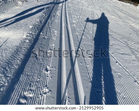 Cross-country skiing on a wonderful sunny winter day. The ski track is in good condition. The shadow of a person is holding ski poles and is about to start skiing.