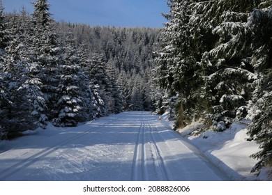 Crosscountry Skiing Track Through Forest For Skate And For Classical Technique In Jizerske Mountains On Sunny Day 