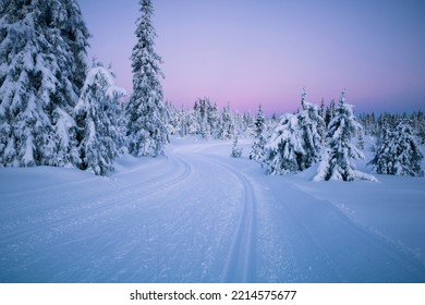 Cross-country skiing tracks in Ljøsheim, Norway