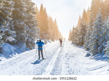 Cross-country skiing in winter nature - Shutterstock ID 1951128622