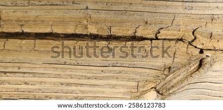 crosscut wood section background image