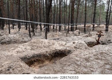 Crosses are seen at a forest grave site after an exhumation in the town of Izium, recently liberated by Ukrainian forces, in the Kharkiv region, Ukraine. - Shutterstock ID 2281763153