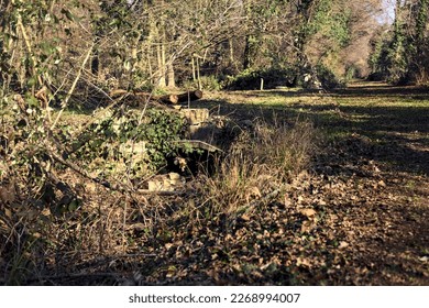 Crossing  between trail in a park over an old brick footbridge next to a tiny dry channel in a forest on a winter day
