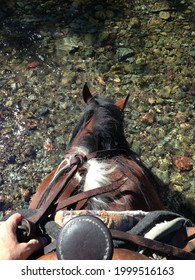 Crossing The Creek On Horseback In Wyoming